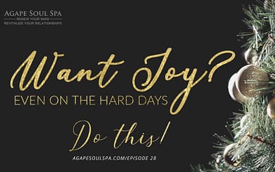 Episode 28: Want Joy, Even on the Hard Days? Do This!